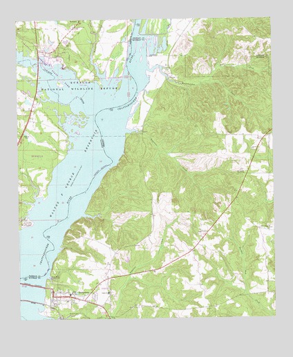 Georgetown, GA Topographic Map - TopoQuest