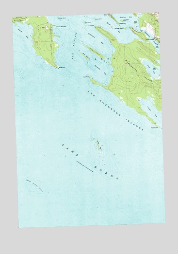 Goose Island, MI USGS Topographic Map