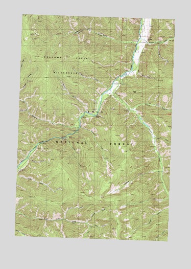 Grizzly Point, MT USGS Topographic Map