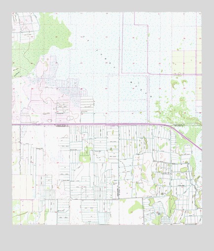 Gum Slough, FL USGS Topographic Map