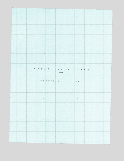 Gunnison Island NE, UT USGS Topographic Map
