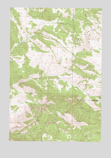 Candle Mountain, MT USGS Topographic Map