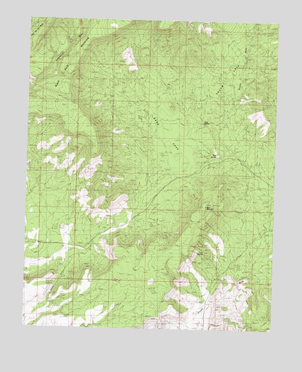 Cane Springs, AZ USGS Topographic Map