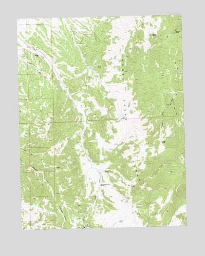 Horse Camp Springs, NV USGS Topographic Map
