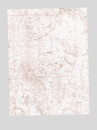 Hubbard Basin, NV USGS Topographic Map