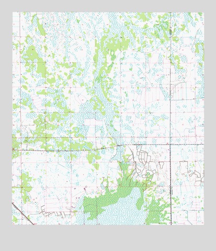 Immokalee NE, FL USGS Topographic Map