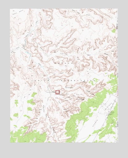 Inscription House Ruin, AZ USGS Topographic Map