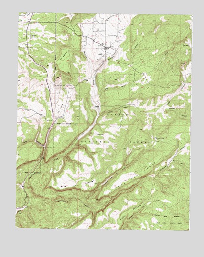 Canjilon, NM USGS Topographic Map