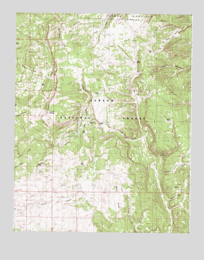 Canjilon Mountain, NM USGS Topographic Map