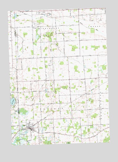Laingsburg, MI USGS Topographic Map
