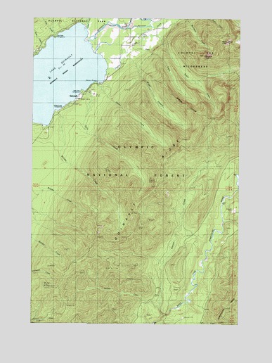 Lake Quinault East, WA USGS Topographic Map