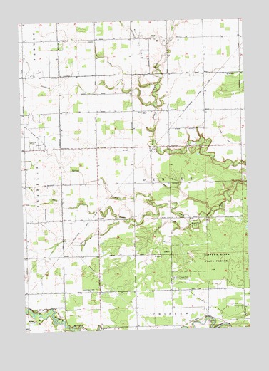 Leaton, MI USGS Topographic Map