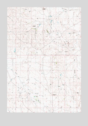 Lightning Butte, MT USGS Topographic Map