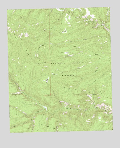 Lilley Mountain, NM USGS Topographic Map