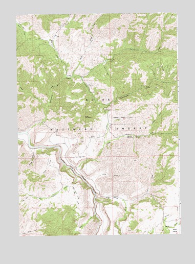 Long Gulch, ID USGS Topographic Map