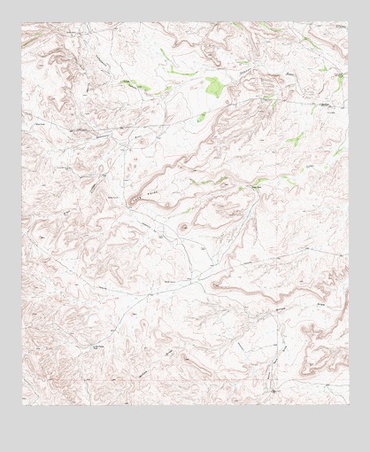Long Point, TX USGS Topographic Map