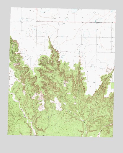 Luttrell Springs, TX USGS Topographic Map