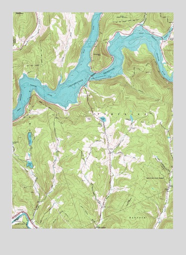 Cannonsville Reservoir, NY USGS Topographic Map