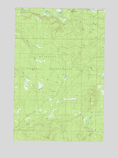 Macafee Hill, WA USGS Topographic Map