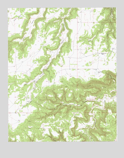 Maes, NM USGS Topographic Map