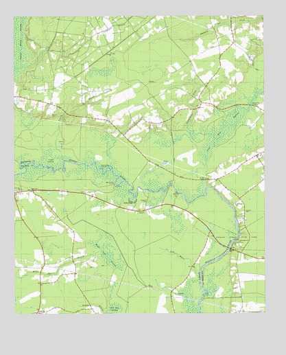 Maple Cane Swamp, SC USGS Topographic Map
