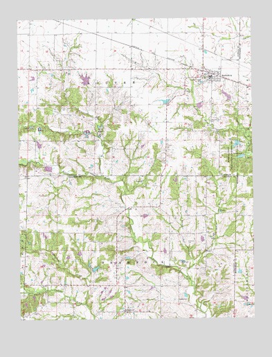 Martinsburg, MO USGS Topographic Map
