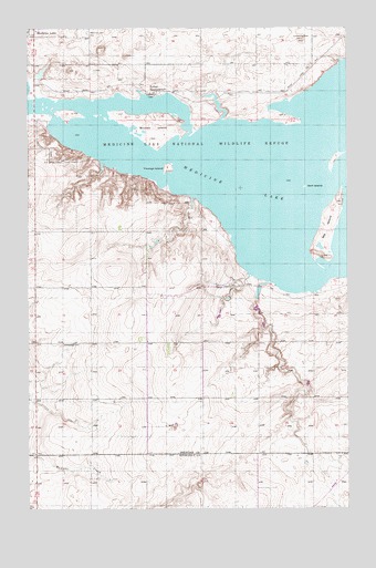 Medicine Lake, MT USGS Topographic Map