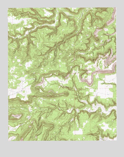 Canon Olguin, NM USGS Topographic Map