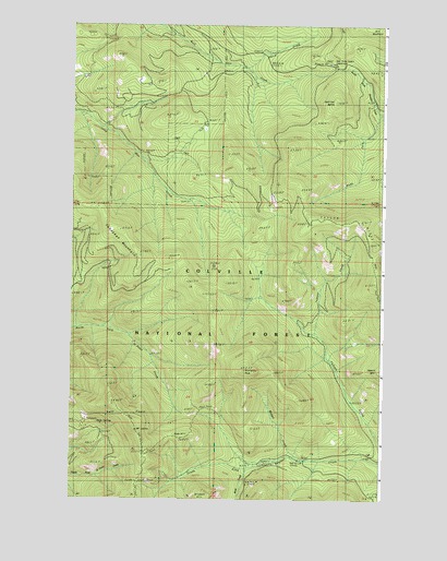 Mount Leona, WA USGS Topographic Map