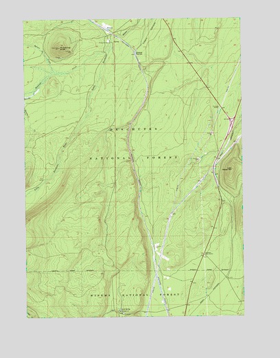 Muttonchop Butte, OR USGS Topographic Map