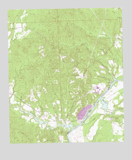 Omaha, GA USGS Topographic Map