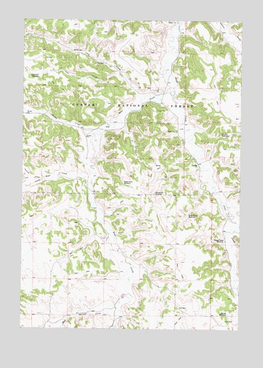 Otter, MT USGS Topographic Map