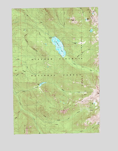 Packwood Lake, WA USGS Topographic Map