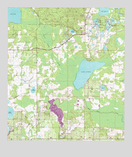 Paisley, FL USGS Topographic Map
