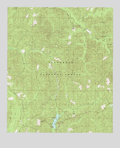 Payne Lake, AL USGS Topographic Map