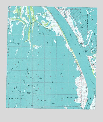 Pilottown, LA USGS Topographic Map