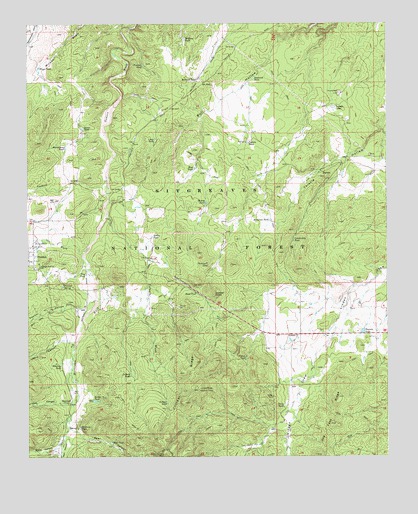 Pinedale, AZ USGS Topographic Map