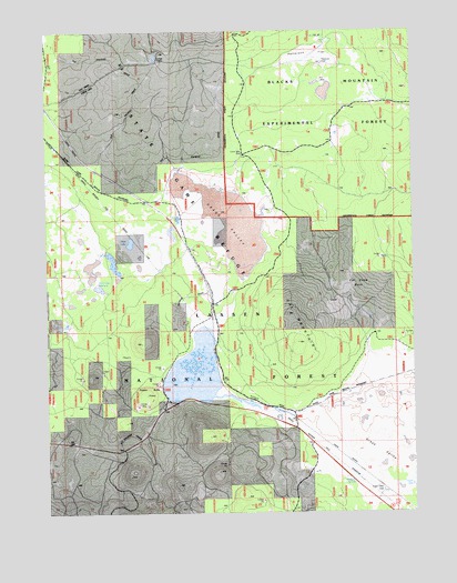 Poison Lake, CA USGS Topographic Map