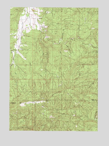Prairie Peak, OR USGS Topographic Map