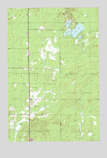 Canyon, MN USGS Topographic Map