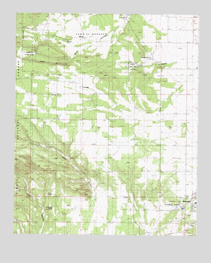 Punta de Agua, NM USGS Topographic Map