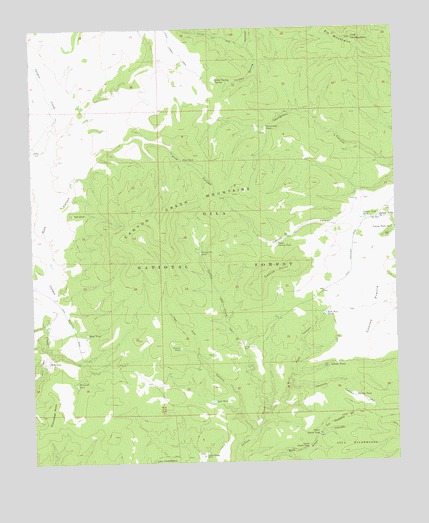 Canyon Creek Mountains, NM USGS Topographic Map