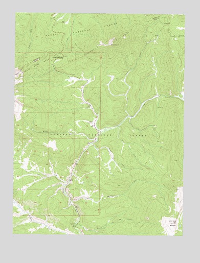 Radial Mountain, CO USGS Topographic Map