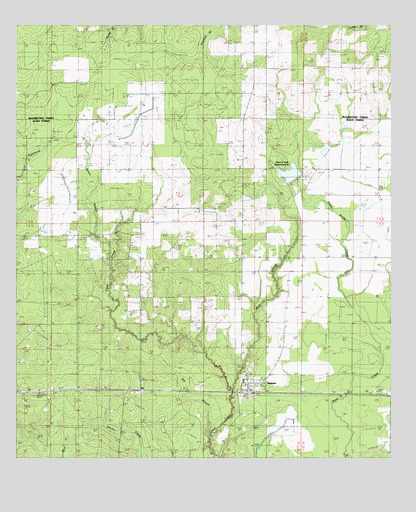 Reeves, LA USGS Topographic Map