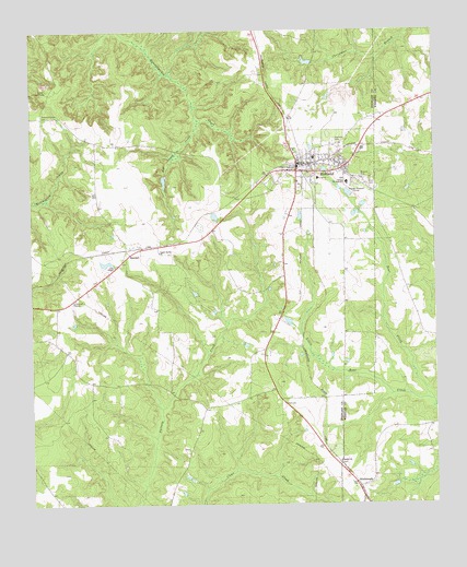 Richland, GA USGS Topographic Map