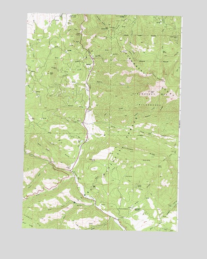 Canyon Mountain, OR USGS Topographic Map