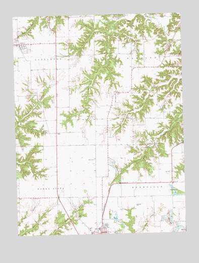 Rushville North, IL USGS Topographic Map