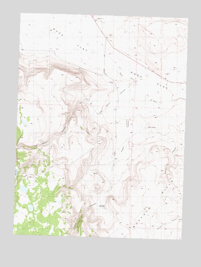 Rye Patch Canyon, NV USGS Topographic Map