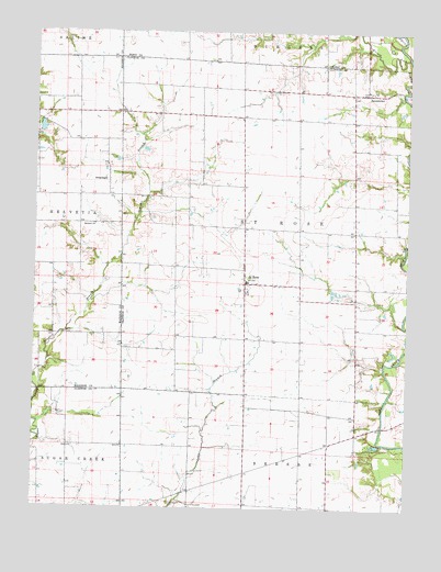 Saint Rose, IL USGS Topographic Map