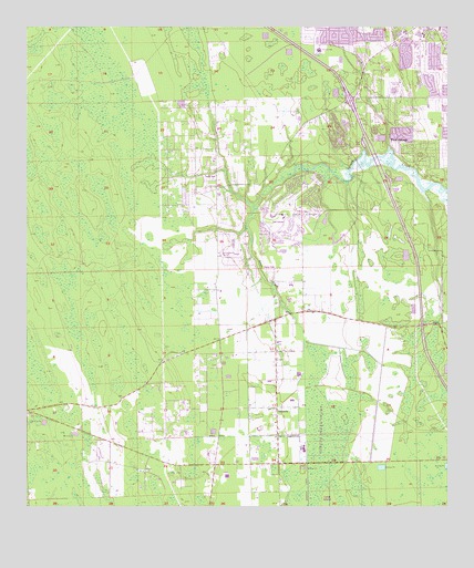 Samsula, FL USGS Topographic Map